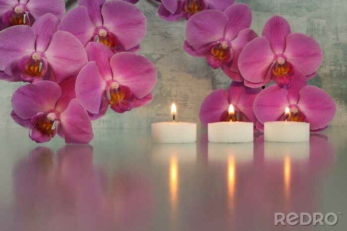 Tableau  Branche d'orchidée et bougies