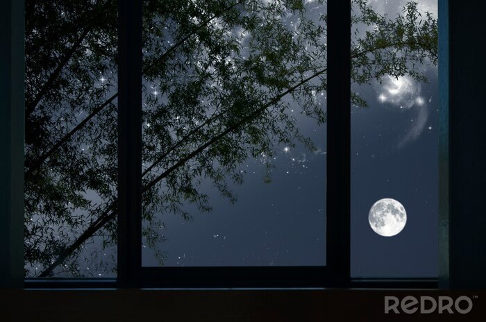 Tableau  Bright moon and stars with bamboo tree in window view