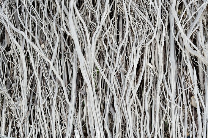 Tableau  Brindilles naturelles séchées