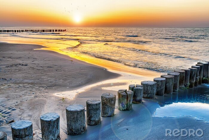 Tableau  Brise-lames en bois au bord de la mer