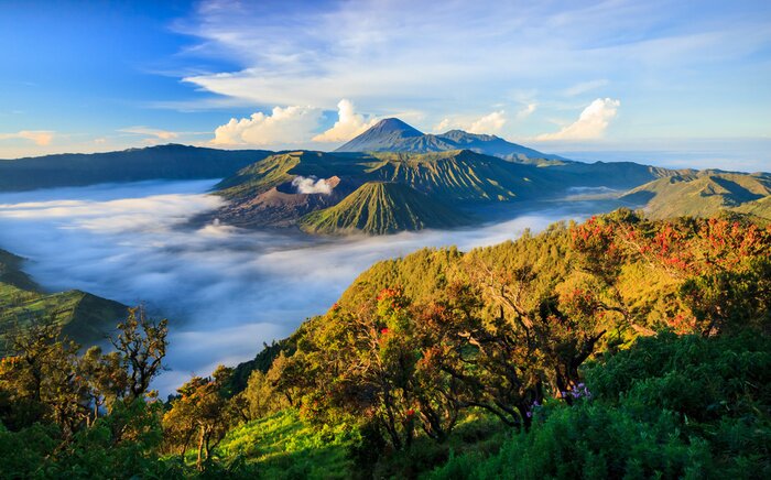 Tableau  Bromo vocalno au lever du soleil, East Java, Indonésie