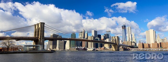 Tableau  Brooklyn Bridge et New York