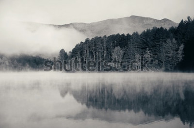 Tableau  brouillard au-dessus du lac le matin