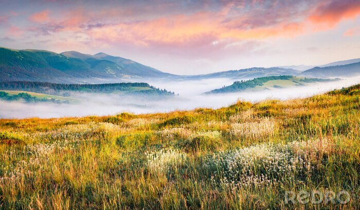 Tableau  Brume sur une clairière avec des montagnes et le lever du soleil