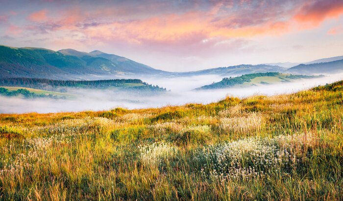 Tableau  Brume sur une clairière avec des montagnes et le lever du soleil