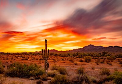 Tableau  Buetiful Sunset in the Desert, Quartzsite Arizona