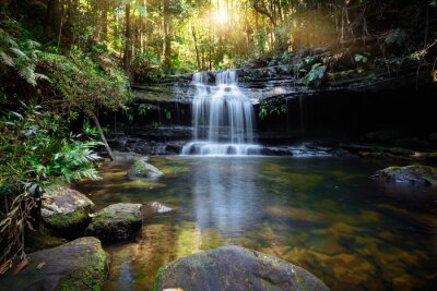 Tableau  Bushland waterfall and oasis