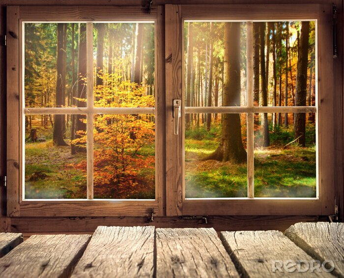 Tableau  Cabane en bois avec vue sur une forêt d'automne