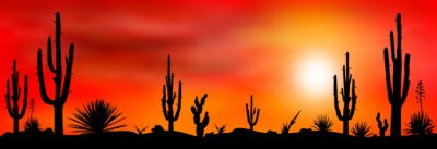 Tableau  Cactus dans le désert contre un ciel de coucher de soleil rouge
