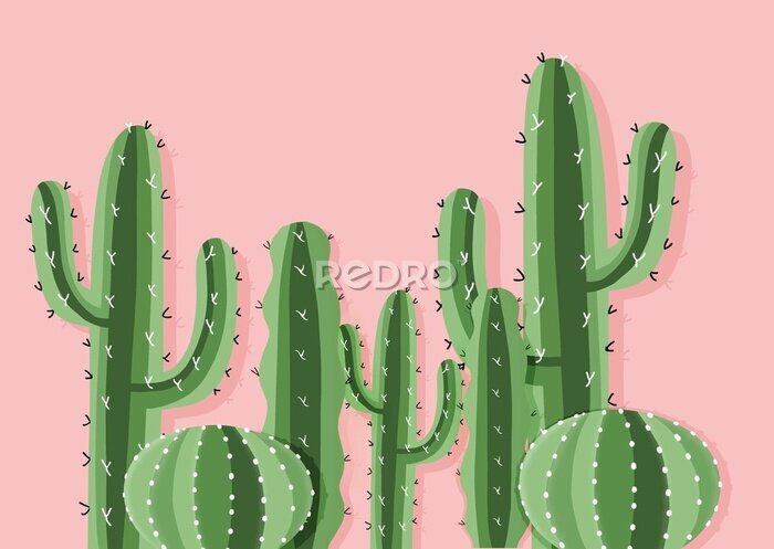 Tableau  Cactus du désert sur un fond rose