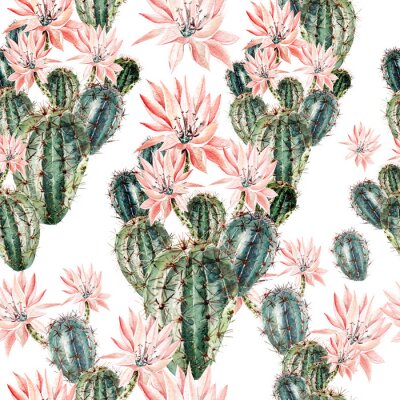 Tableau  Cactus en fleur peint à l'aquarelle