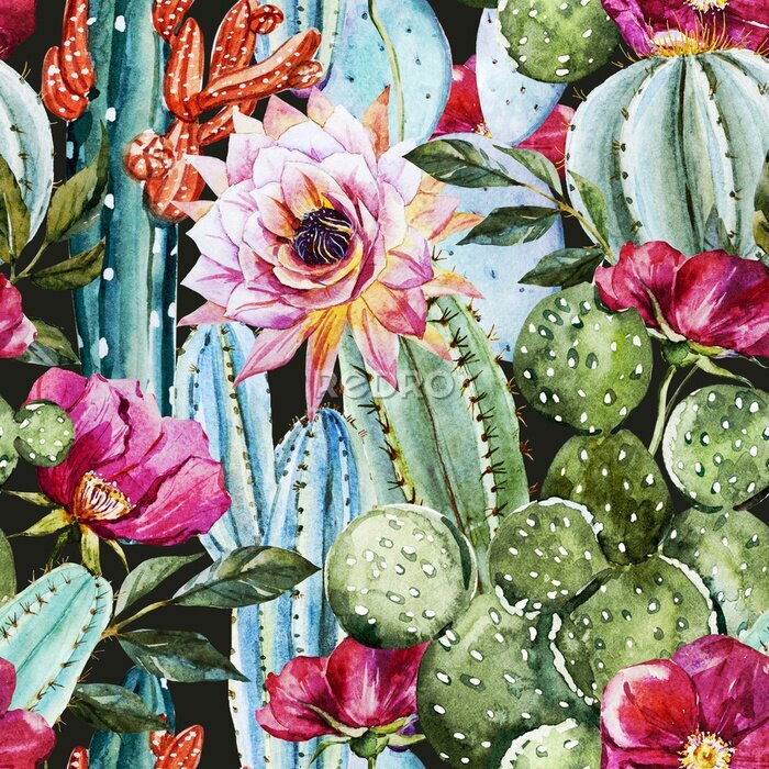 Tableau  Cactus et fleurs colorées peintes à l'aquarelle