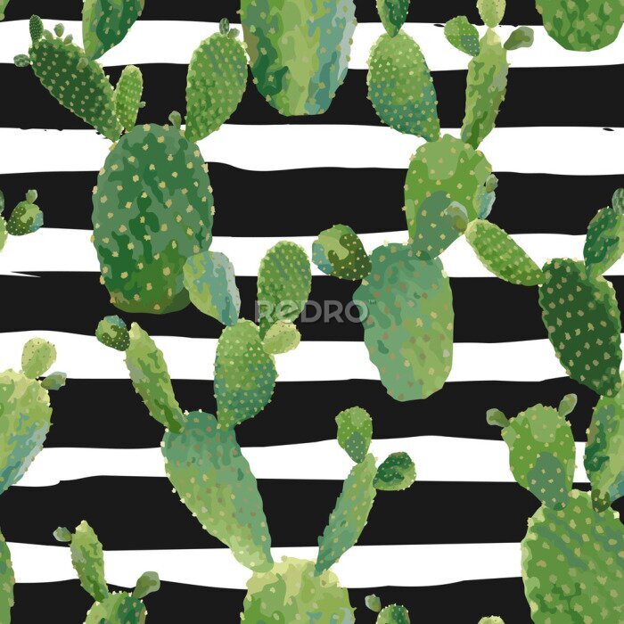Tableau  Cactus sur un fond rayé noir et blanc