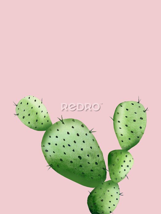 Tableau  Cactus vert sur un fond rose clair