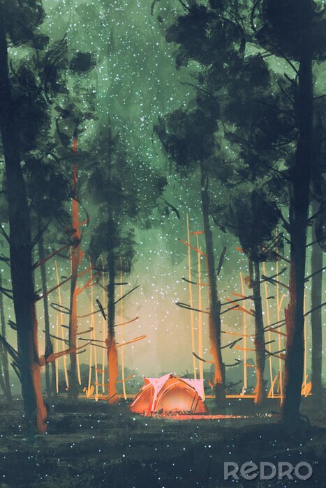 Tableau  Camping dans la forêt la nuit avec étoiles et lucioles, illustration, peinture numérique