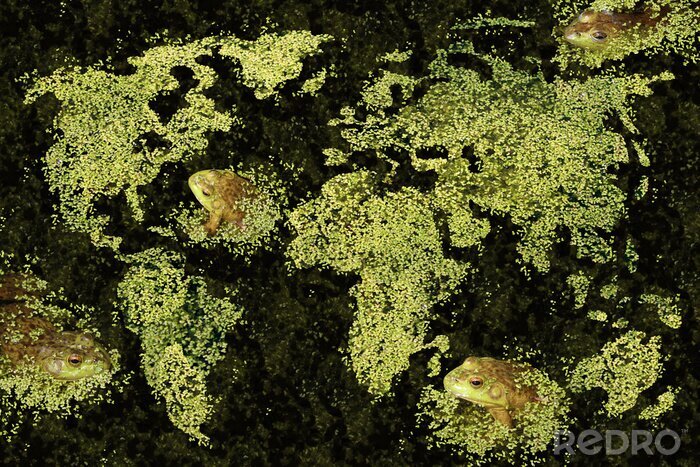 Tableau  Carte du monde avec des grenouilles