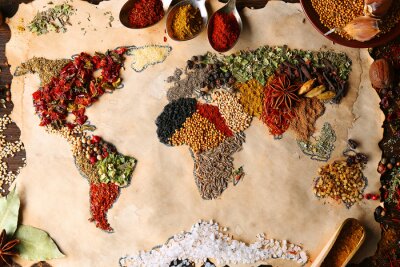 Tableau  Carte du monde faite d'épices