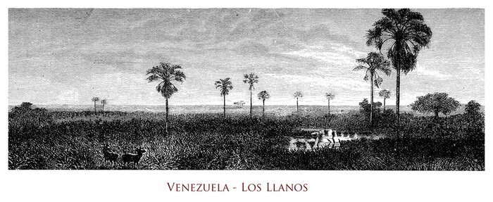 Tableau  Carte postale en noir et blanc du Venezuela