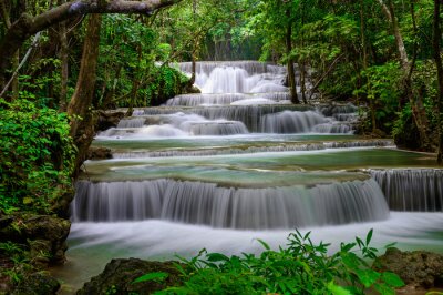 Tableau  Cascade en cascade dans la forêt tropicale