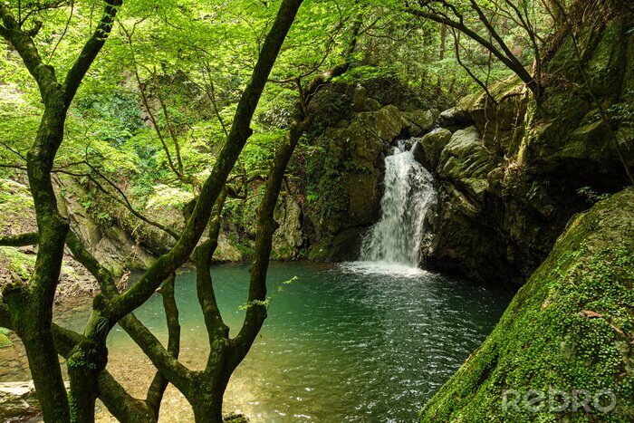 Tableau  Cascade verte au Japon