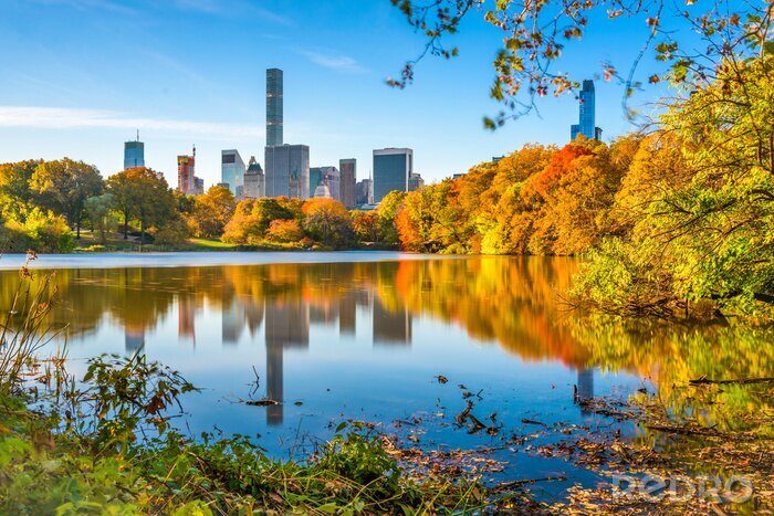 Tableau  Central Park during autumn in New York City.
