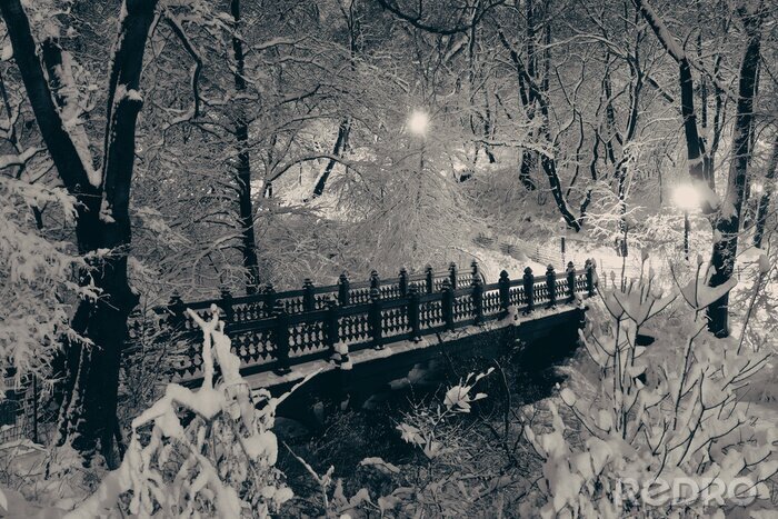 Tableau  Central Park hiver
