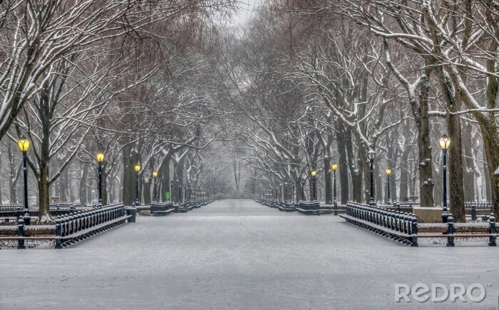 Tableau  Central Park in winter