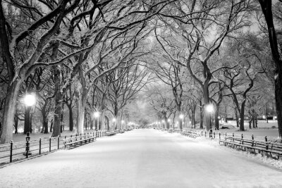 Tableau  Central Park, NY covered in snow at dawn