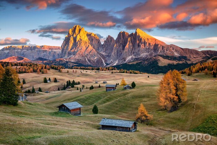 Tableau  Chalet de montagne et clairière verte