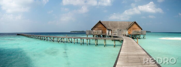 Tableau  Chalet tropical de la mer