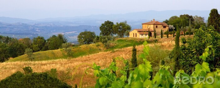 Tableau  Champ de la Toscane
