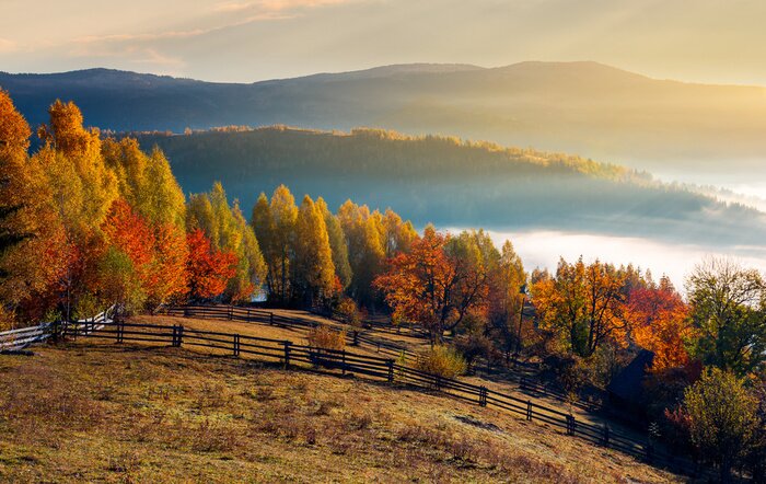 Tableau  champ rural et verger en automne au lever du soleil. campagne montagneuse avec brouillard dans le lointain wally