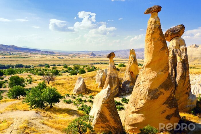 Tableau  Champs sur le paysage avec des rochers