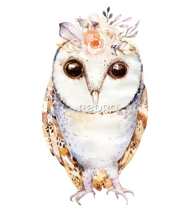 Tableau  Charmant hibou avec des fleurs aquarellées sur la tête