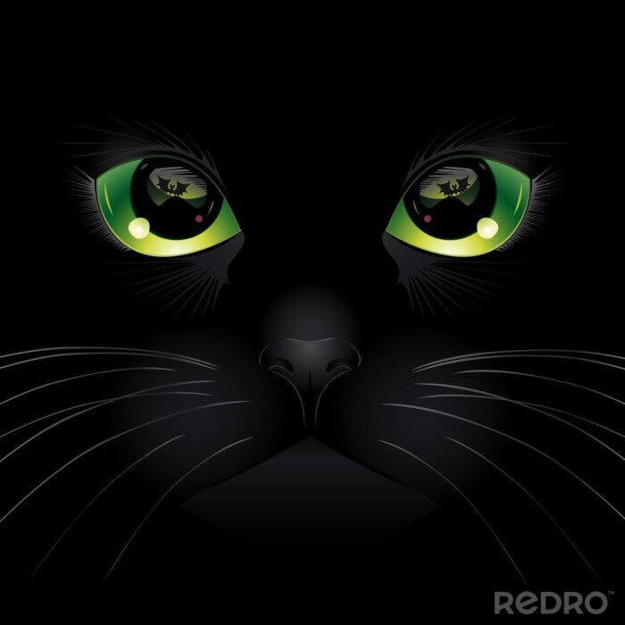 Tableau  Chat noir aux yeux verts