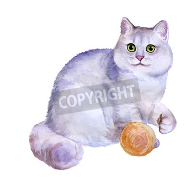 Tableau  Chat peint avec du fil