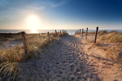 Tableau  chemin de sable de plage de la mer du Nord