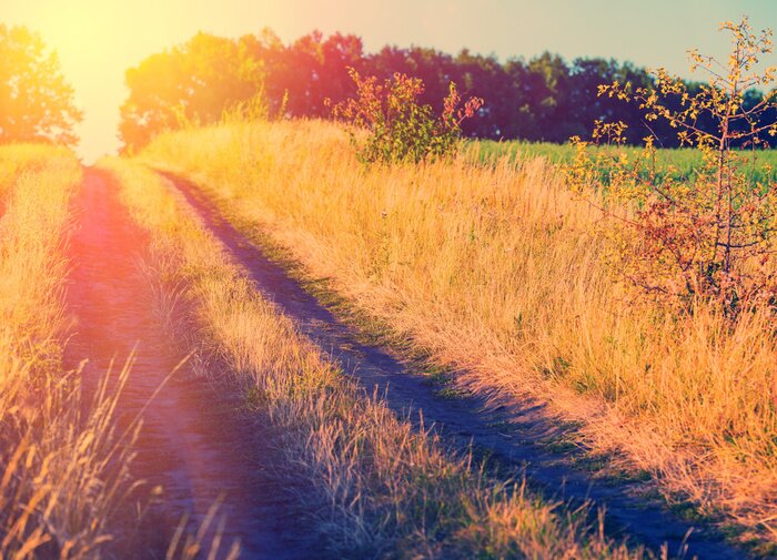 Tableau  chemin de terre