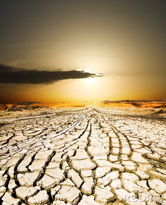 Tableau  Chemin de terre asséché