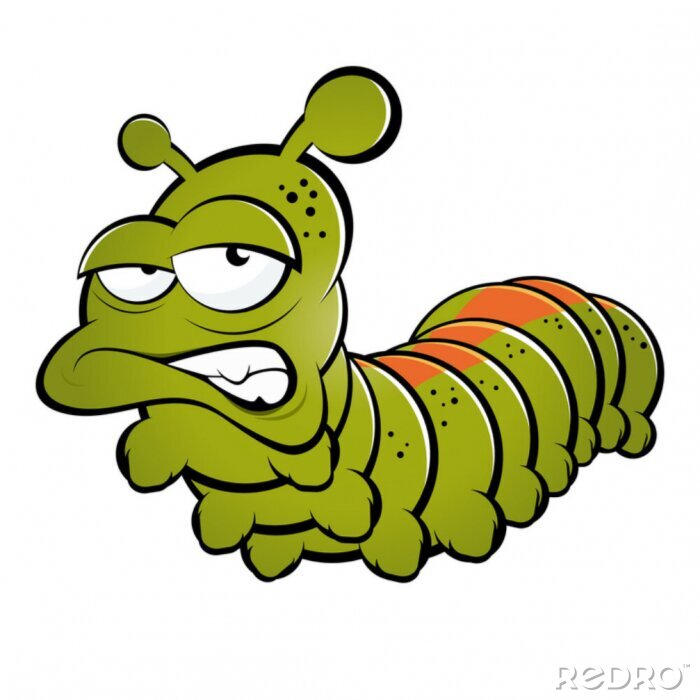 Tableau  Chenille verte avec une bande orange