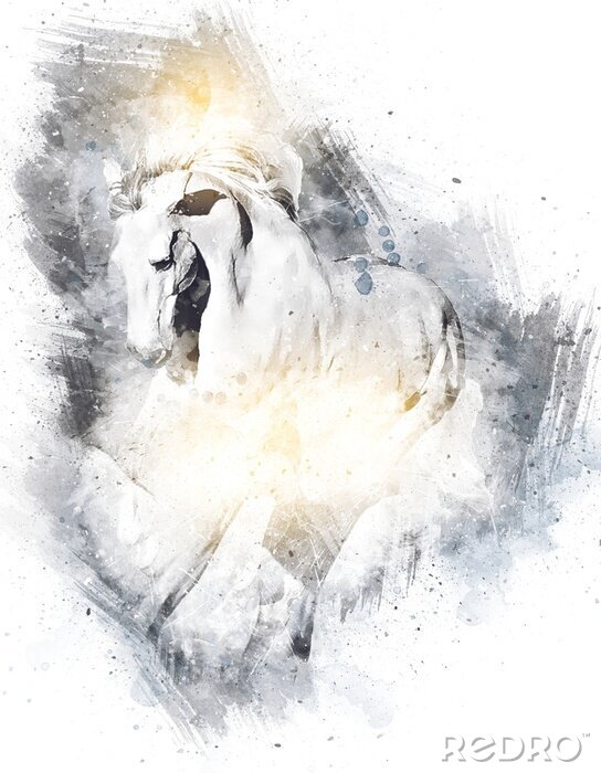 Tableau  Cheval de dessin animé noir et blanc