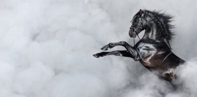 Cheval en fumée grise