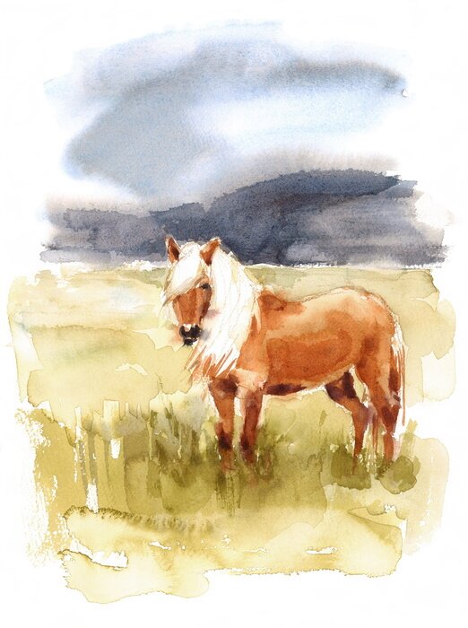 Tableau  Cheval islandais aquarelle