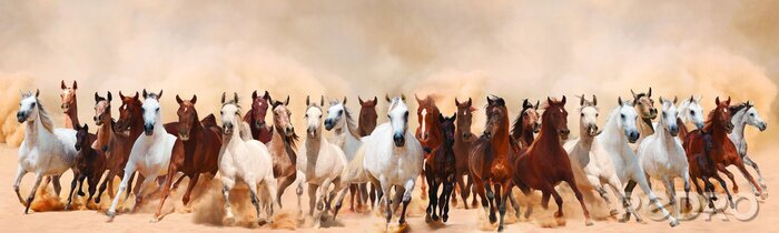 Tableau  Chevaux 3D au galop