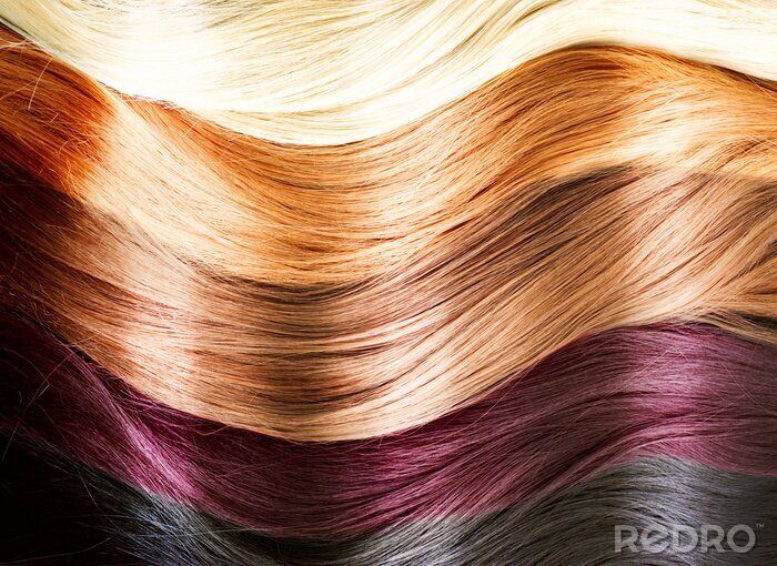 Tableau  Cheveux palette de couleurs. Texture des cheveux