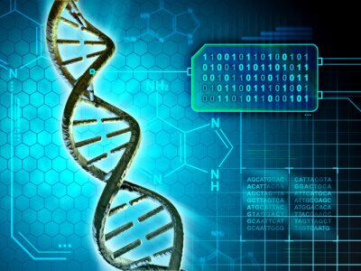 Tableau  Chromosome abstrait et code génétique