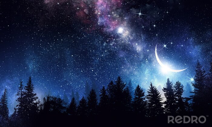 Tableau  Ciel avec lune et étoiles au-dessus d'une forêt