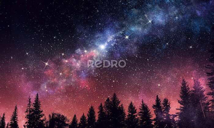 Tableau  Ciel étoilé au-dessus d'une forêt sombre