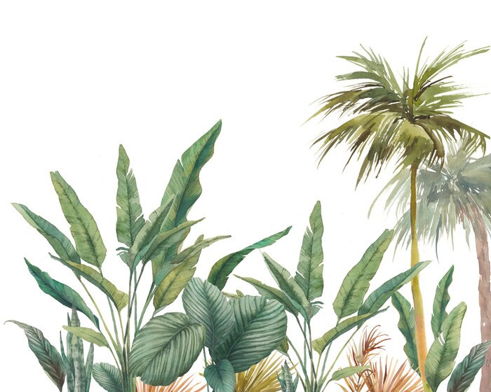 Tableau  Cime des arbres exotiques