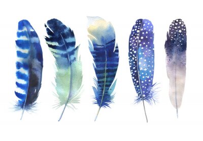 Tableau  Cinq plumes bleues